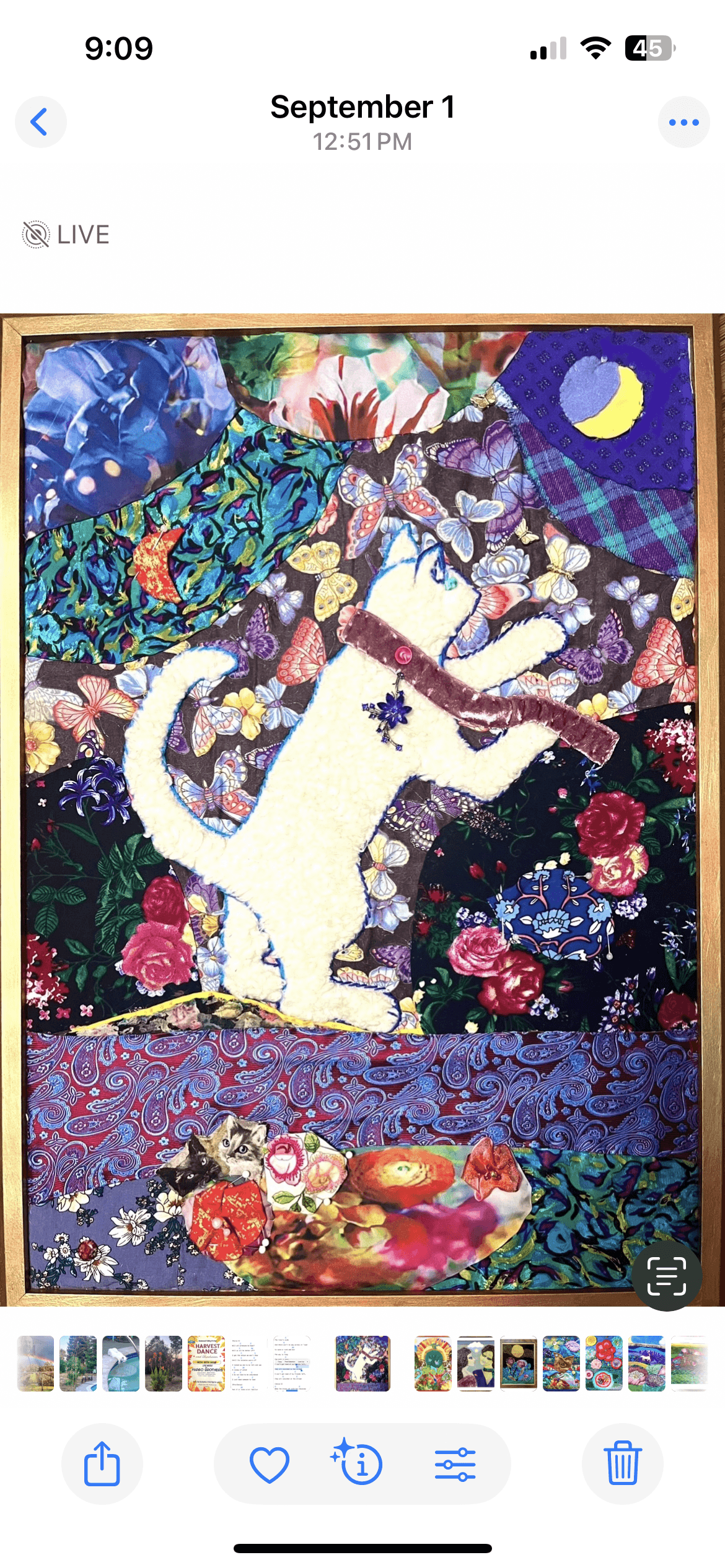 Portfolio image